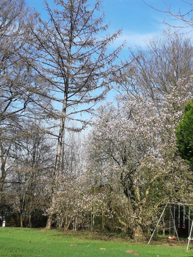 B&B Chatelet Cremers Verviers Exterior foto
