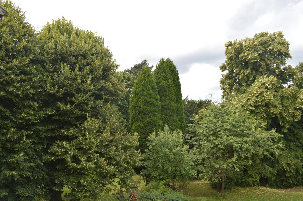 B&B Chatelet Cremers Verviers Quarto foto